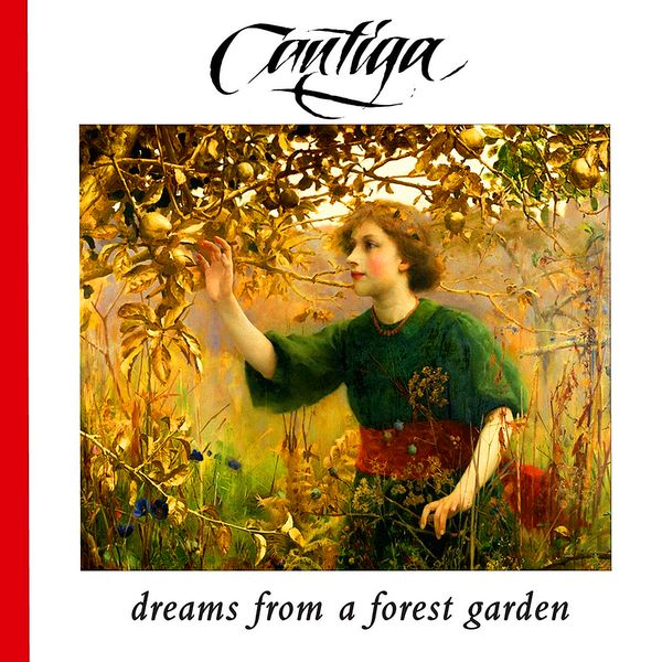 Dreams From A Forest Garden