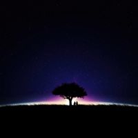 Whispers In Twilight by Lacius Kollar