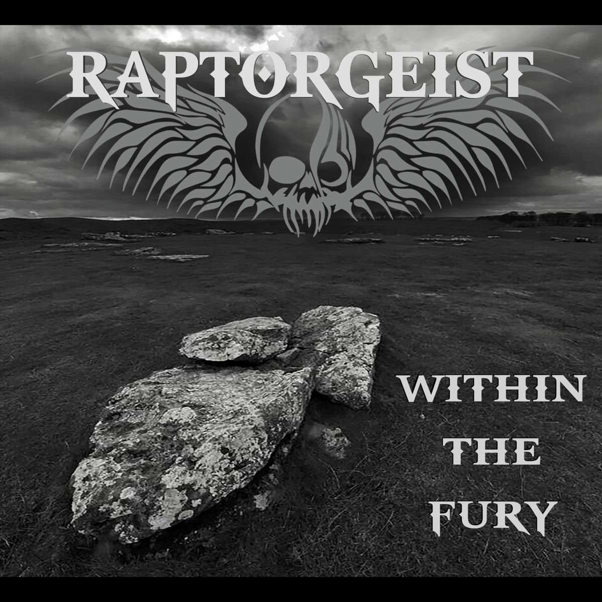 Within the Fury - CD