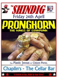 Pronghorn