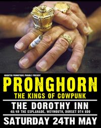 Pronghorn