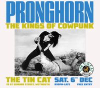Pronghorn