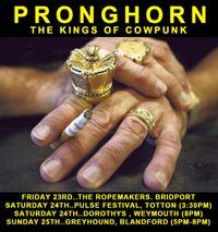 Pronghorn
