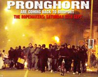 Pronghorn