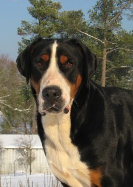 Ruby
