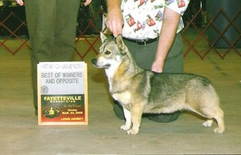 Sunny earning her Championship

