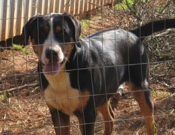 Maggie Moo-12 months
