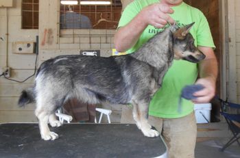 Abby, 10 months
