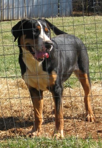 Maggie Moo-12 months
