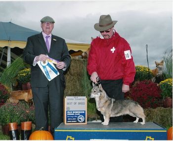 Sunny- Grand Champion-10-01-11

