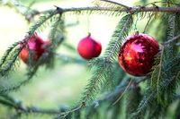  Christmas Party - Private Event