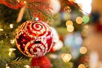 Christmas Concert