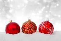 Rent A Daughter Christmas Celebration - Private Event