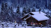 Christmas Party - Private Event 