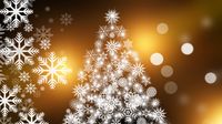 Private Christmas Party 