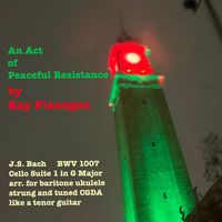 An Act of Peaceful Resistance by Ray Flanagan