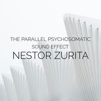 The Parallel Psychosomatic Sound Effect by Nestor Zurita