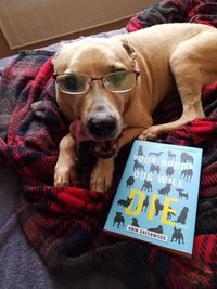 Bullies, Books & Brunch