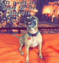 Mayday Christmas in July Party & White Elephant Gift Exchange