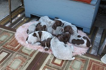 The mat is just big enough!
