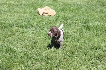 Uta leaves the toy for the boys.
