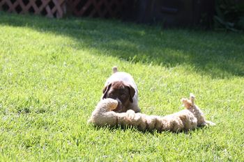 Or just lay down and play here.

