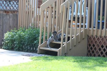 Uno and Utwo - When we get up the stairs then what do we do?
