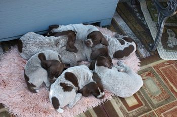 After stacking up and playing with kids the crew is played out!
