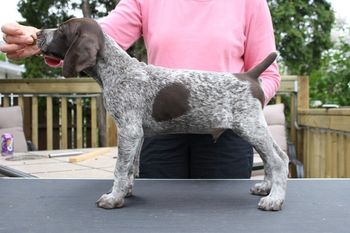 Titan
