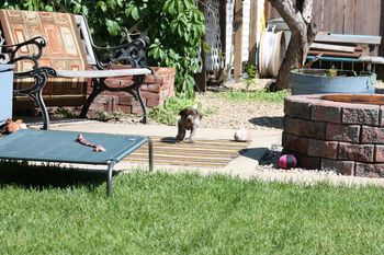 Uta is running to the same place.
