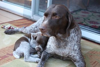 What could be better than a snuggle with mom.
