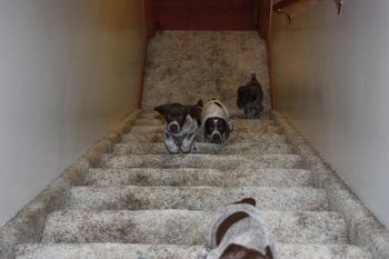 Look out, they are all coming up.

