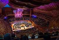 Stravinsky's Les Noces (Tenor Soloist)
