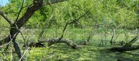 2015 Wisconsin Permaculture Convergence