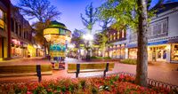 Downtown Fall Festival