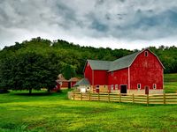 FarmStand Collective Grand Opening