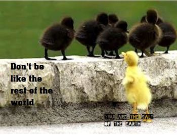 You are the salt of the earth

