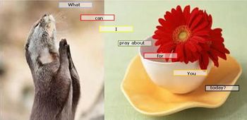 What can I pray about for you today
