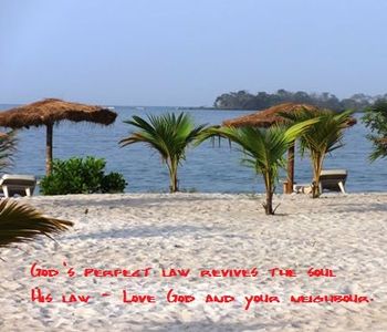 God's perfect law revives the soul
