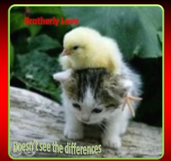 Brotherly love doesn't see the differences
