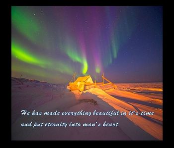 He has made everything beautiful
