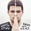 FALLEN FROM GRACE - CD Album
