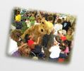 Teddy Bears Greatest Hits - CD