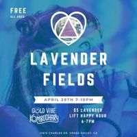 LAVENDER FIELDS at Gold Vibe Kombuchary, Nevada City, CA