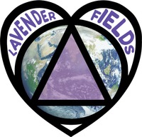 LAVENDER FIELDS