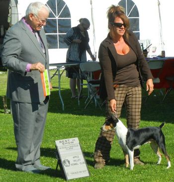 Suzy in AKC BIMS!
