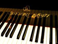 Shigueru Kawai Center - Inauguración