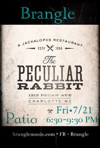 The Peculiar Rabbit - Acoustic on the patio