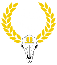 Bare Bones Film Festival