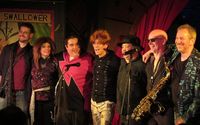 STARMAN Under the Stars - Outdoor Concert Event